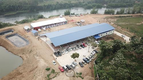 Khánh thành Khu giết mổ gia súc gia cầm tập trung lớn nhất Thái Nguyên ảnh 1