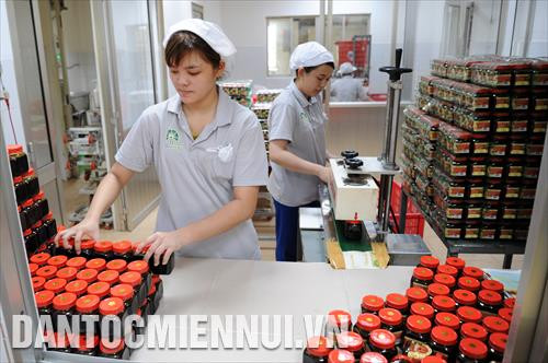 Công ty TNHH Thảo Hương được thành lập từ năm 2002 chuyên sản xuất các sản phẩm làm từ đường thốt nốt như: nước màu, đường thốt nốt bột, là một trong những doanh nghiệp người Hoa điển hình tại phường Châu Phú A (Châu Đốc, An Giang). Hàng tháng, công ty sản xuất và bán ra thị trường khoảng 10 tấn sản phẩm, đạt doanh thu 2 tỷ đồng, tạo việc làm và thu nhập ổn định cho nhiều lao động địa phương. Trong ảnh: Dây chuyền đóng gói sản phẩm nước màu làm từ đường thốt nốt tạ nhà máy công ty