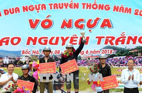 Ban tổ chức trao giải cho các VĐV đạt thứ hạng cao. Ảnh: Quốc Khánh - TTXVN Ban tổ chức trao giải cho các VĐV đạt thứ hạng cao. Ảnh: Quốc Khánh - TTXVN