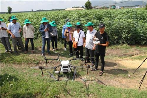 Cán bộ Công ty Nông nghiệp Xanh và Xanh trình diễn máy bay không người lái phun thuốc trên cánh đồng sắn xã Tân Hưng, huyện Tân Châu, Tây Ninh. Ảnh: Lê Đức Hoảnh - TTXVN Cán bộ Công ty Nông nghiệp Xanh và Xanh trình diễn máy bay không người lái phun thuốc trên cánh đồng sắn xã Tân Hưng, huyện Tân Châu, Tây Ninh. Ảnh: Lê Đức Hoảnh - TTXVN