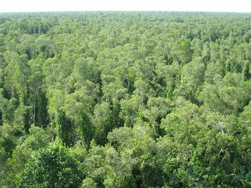 Ảnh minh họa Ảnh minh họa