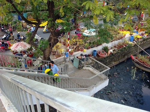 Mua bán hoa nhộn nhịp chợ hoa Bình Đông-Mễ Cốc