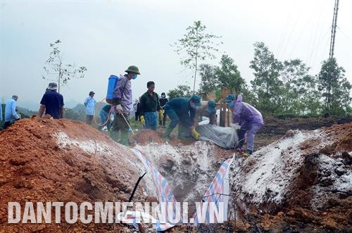 Khi phát hiện lợn mắc bệnh dịch tả lợn châu Phi, phải tiến hành tiêu hủy toàn bộ. Ảnh: Quang Cường Khi phát hiện lợn mắc bệnh dịch tả lợn châu Phi, phải tiến hành tiêu hủy toàn bộ. Ảnh: Quang Cường