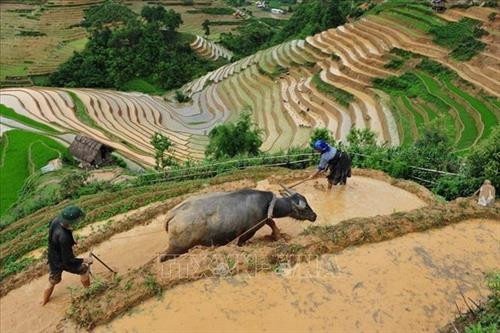 Ngày mùa vùng cao Tây Bắc. Ảnh: TTXVN Ruộng bậc thang - Nét đẹp văn hóa và công trình nghệ thuật độc đáo của đồng bào các dân tộc vùng cao phía Bắc. Ảnh: TTXVN Vẻ đẹp thơ mộng trên các thửa ruộng bậc thang huyện Mù Cang Chải, tỉnh Yên Bái trong mùa nước đổ. Ảnh: TTXVN Mùa gặt trên những thửa ruộng bậc thang huyện Mù Cang Chải (Yên Bái). Ảnh: TTXVN Rực rỡ mùa vàng Mù Cang Chải. Ảnh: TTXVN Thửa ruộng bậc thang hình trái tim ở xã La Pán Tẩn, huyện Mù Cang Chải, tỉnh Yên Bái. Ảnh: TTXVN Ruộng bậc thang Mù Cang Chải vào mùa lúa chín. Ảnh: TTXVN Vẻ đẹp ruộng bậc thang đồi Mâm Xôi, xã La Pán Tẩn, huyện Mù Cang Chải (Yên Bái). Ảnh: TTXVN Ngày mùa vùng cao Tây Bắc. Ảnh: TTXVN Ruộng bậc thang - Nét đẹp văn hóa và công trình nghệ thuật độc đáo của đồng bào các dân tộc vùng cao phía Bắc. Ảnh: TTXVN Vẻ đẹp thơ mộng trên các thửa ruộng bậc thang huyện Mù Cang Chải, tỉnh Yên Bái trong mùa nước đổ. Ảnh: TTXVN Mùa gặt trên những thửa ruộng bậc thang huyện Mù Cang Chải (Yên Bái). Ảnh: TTXVN Rực rỡ mùa vàng Mù Cang Chải. Ảnh: TTXVN Thửa ruộng bậc thang hình trái tim ở xã La Pán Tẩn, huyện Mù Cang Chải, tỉnh Yên Bái. Ảnh: TTXVN Ruộng bậc thang Mù Cang Chải vào mùa lúa chín. Ảnh: TTXVN Vẻ đẹp ruộng bậc thang đồi Mâm Xôi, xã La Pán Tẩn, huyện Mù Cang Chải (Yên Bái). Ảnh: TTXVN