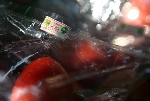 Hà Nội nâng cao chất lượng rau an toàn ảnh 7