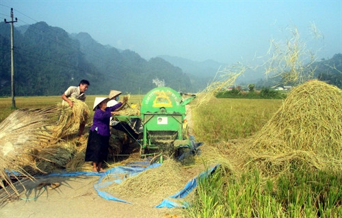 Thu hoạch vụ lúa mùa năm 2016 ở xã Khuân Hà, huyện Lâm Bình. Thu hoạch vụ lúa mùa năm 2016 ở xã Khuân Hà, huyện Lâm Bình.