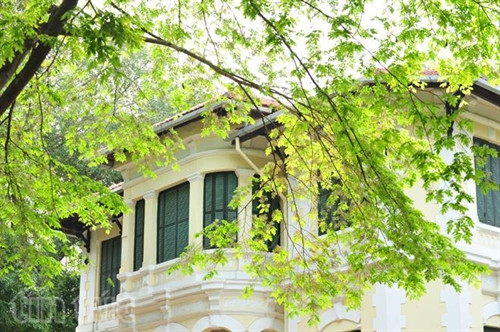 Hẹn gặp lại, sắc trắng hoa sưa ảnh 15