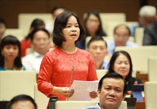 Đại biểu Quốc hội tỉnh Quảng Ngãi Phạm Thị Thu Trang đặt câu hỏi. Ảnh: Doãn Tấn - TTXVN