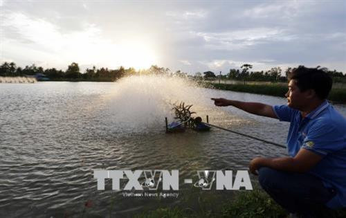 Hồ nuôi tôm của gia đình anh Đỗ Chí Tâm, phường 4, thành phố Sóc Trăng được khởi nguồn từ nguồn vốn vay ưu đãi. Ảnh: Trần Việt - TTXVN Hồ nuôi tôm của gia đình anh Đỗ Chí Tâm, phường 4, thành phố Sóc Trăng được khởi nguồn từ nguồn vốn vay ưu đãi. Ảnh: Trần Việt - TTXVN