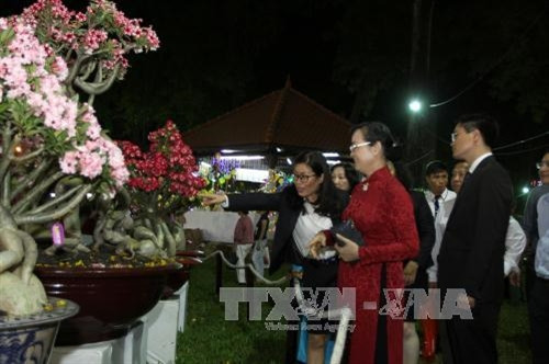 Lãnh đạo thành phố Hồ Chí Minh cùng các đại biểu tham quan Hội Hoa xuân Đinh Dậu 2017 tại công viên Tao Đàn. Ảnh: Phương Vy – TTXVN