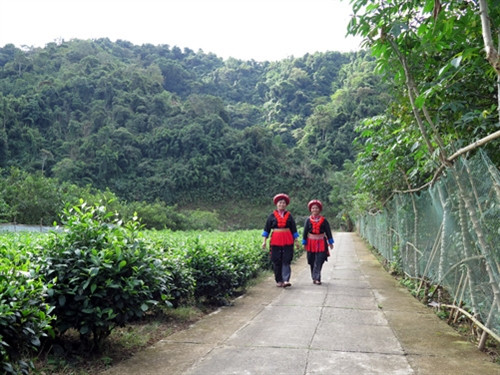 Khi người dân đồng thuận xây dựng nông thôn mới ảnh 2