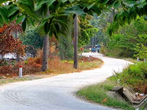 Con đường yên bình trên đảo. Ảnh: XDAT