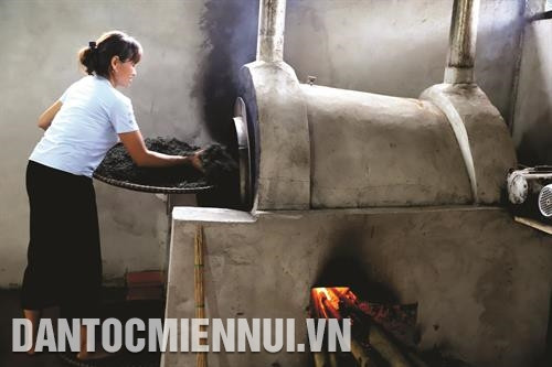 Nhiều hộ đồng bào trong xã đã áp dụng quy trình sản xuất khép kín, từ chăm sóc đến thu hoạch, chế biến sản phẩm chè. Ảnh: An Thành Nhiều hộ đồng bào trong xã đã áp dụng quy trình sản xuất khép kín, từ chăm sóc đến thu hoạch, chế biến sản phẩm chè. Ảnh: An Thành