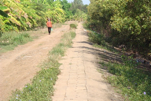 Đê bê tông sau rừng mắm phòng hộ ấp Vàm Rây,xã Bình Sơn, huyện Hòn Đất-Kiên Giang