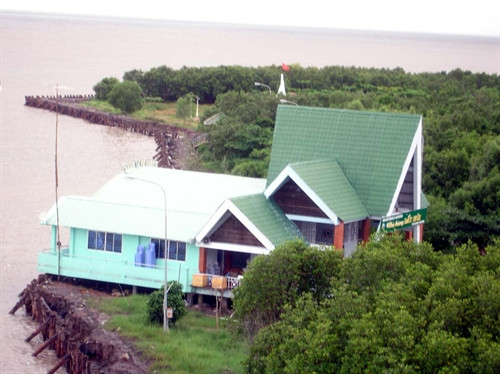 Nhà hàng Mũi Cà Mau đang được kè tràm để chống sạt lở