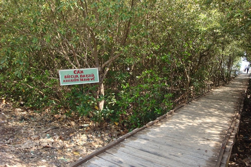 Rừng mắm ấp Vàm Rây, xã Bình Sơn, huyện Hòn Đất- Kiên Giang