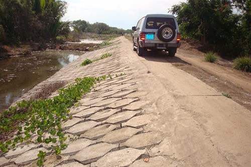 Mặt đê kiên cố có thể kết hợp làm đường giao thông