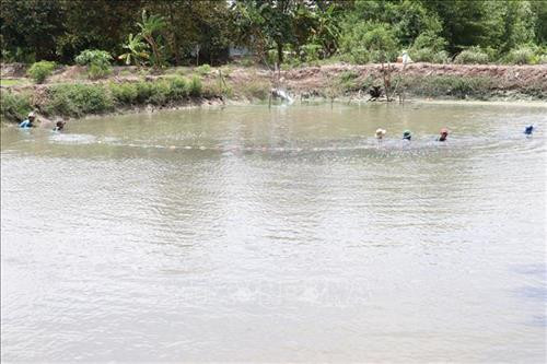 Ông Nguyễn Văn Giàu ở xã Phú Điền, huyện Tháp Mười (Đồng Tháp) nuôi cá trê vàng. Ảnh: Nguyễn Văn Trí - TTXVN Ông Nguyễn Văn Giàu ở xã Phú Điền, huyện Tháp Mười (Đồng Tháp) nuôi cá trê vàng. Ảnh: Nguyễn Văn Trí - TTXVN
