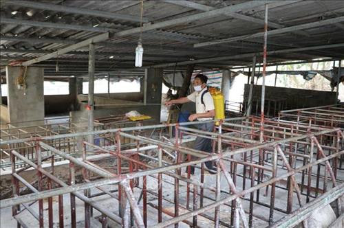 Gia đình ông Nguyễn Văn Cận, xã Thèn Sin, huyện Tam Đường - nơi phát hiện ổ dịch đầu tiên, sau khi tiêu hủy hết số lợn mắc dịch vẫn tiến hành phun thuốc tiêu độc khử trùng chuồng trại 2 lần/ngày. Ảnh: Quý Trung – TTXVN Gia đình ông Nguyễn Văn Cận, xã Thèn Sin, huyện Tam Đường - nơi phát hiện ổ dịch đầu tiên, sau khi tiêu hủy hết số lợn mắc dịch vẫn tiến hành phun thuốc tiêu độc khử trùng chuồng trại 2 lần/ngày. Ảnh: Quý Trung – TTXVN