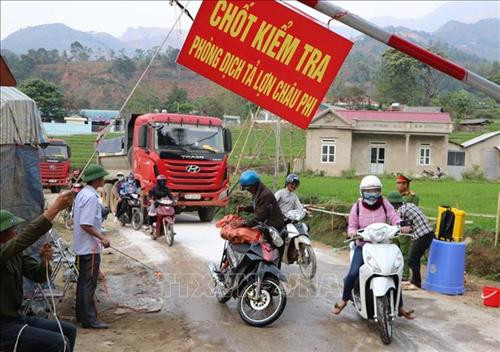 Lực lượng chức năng tại chốt kiểm dịch xã Thèn Sin phun thuốc tiêu độc khử trùng các phương tiện đi từ vùng có dịch ra ngoài. Ảnh: Quý Trung - TTXVN Lực lượng chức năng tại chốt kiểm dịch xã Thèn Sin phun thuốc tiêu độc khử trùng các phương tiện đi từ vùng có dịch ra ngoài. Ảnh: Quý Trung - TTXVN