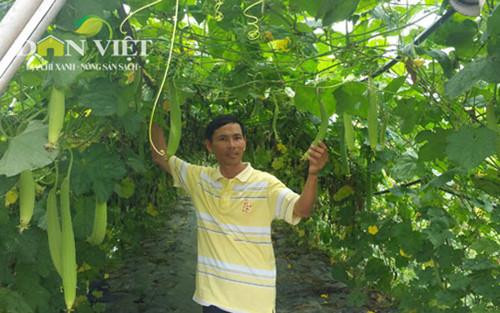 Anh Bảy đang chăm sóc vùng rau sạch của mình Thu nhập hơn 20-30 triệu đồng/tháng Anh Bảy đang chăm sóc vùng rau sạch của mình Thu nhập hơn 20-30 triệu đồng/tháng