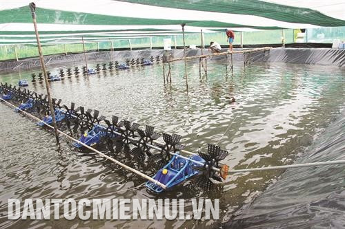 Thời gian gần đây, trên địa bàn tỉnh Cà Mau đã xuất hiện ngày càng nhiều các mô hình liên kết chuỗi trong nuôi tôm công nghiệp. Ảnh: Kim Há Thời gian gần đây, trên địa bàn tỉnh Cà Mau đã xuất hiện ngày càng nhiều các mô hình liên kết chuỗi trong nuôi tôm công nghiệp. Ảnh: Kim Há