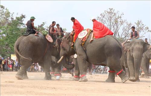 Pha tranh chấp bóng trong phần thi voi đá bóng. Ảnh: Tuấn Anh - TTXVN Pha tranh chấp bóng trong phần thi voi đá bóng. Ảnh: Tuấn Anh - TTXVN Pha khống chế bóng tốt của “vận động viên voi” trong phần thi voi đá bóng. Ảnh: Tuấn Anh - TTXVN Phần thi voi chạy đua tại Hội voi. Ảnh: Tuấn Anh - TTXVN Voi tăng tốc cán đích. Ảnh: Tuấn Anh - TTXVN Voi tăng tốc cán đích. Ảnh: Tuấn Anh - TTXVN Voi tăng tốc cán đích. Ảnh: Tuấn Anh - TTXVN Voi dự tiệc “bufet” sau phần thi chạy đua. Ảnh: Tuấn Anh - TTXVN Pha tranh chấp bóng trong phần thi voi đá bóng. Ảnh: Tuấn Anh - TTXVN Pha tranh chấp bóng trong phần thi voi đá bóng. Ảnh: Tuấn Anh - TTXVN Pha khống chế bóng tốt của “vận động viên voi” trong phần thi voi đá bóng. Ảnh: Tuấn Anh - TTXVN Phần thi voi chạy đua tại Hội voi. Ảnh: Tuấn Anh - TTXVN Voi tăng tốc cán đích. Ảnh: Tuấn Anh - TTXVN Voi tăng tốc cán đích. Ảnh: Tuấn Anh - TTXVN Voi tăng tốc cán đích. Ảnh: Tuấn Anh - TTXVN Voi dự tiệc “bufet” sau phần thi chạy đua. Ảnh: Tuấn Anh - TTXVN