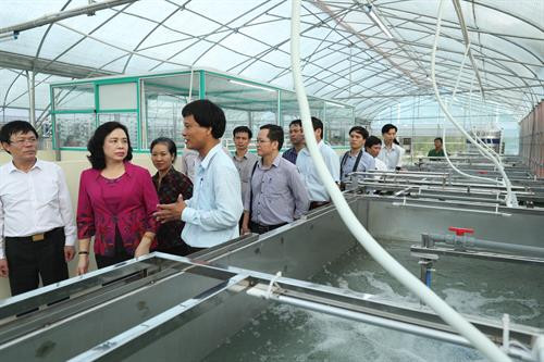 Kiểm tra xây dựng nông thôn mới, thăm các mô hình sản xuất nông nghiệp công nghệ cao tại huyện Thạch Thất ảnh 8