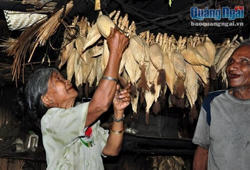 Một thoáng vùng cao Tây Trà ảnh 3