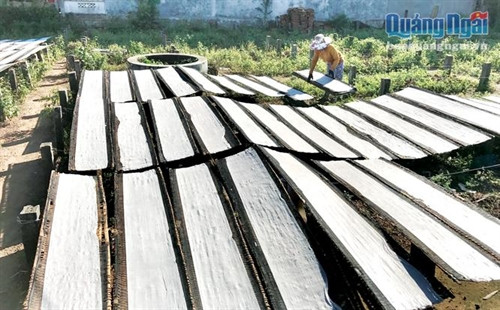 Rộn ràng làng nghề bánh tráng Hành Trung ảnh 3