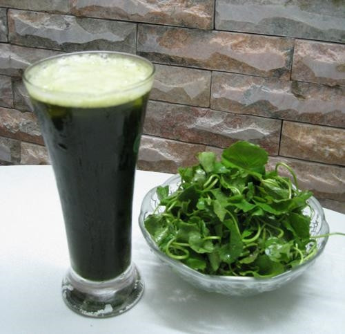 Chữa rôm sảy, mẩn ngứa với rau má ảnh 1 Chữa rôm sảy, mẩn ngứa với rau má ảnh 1