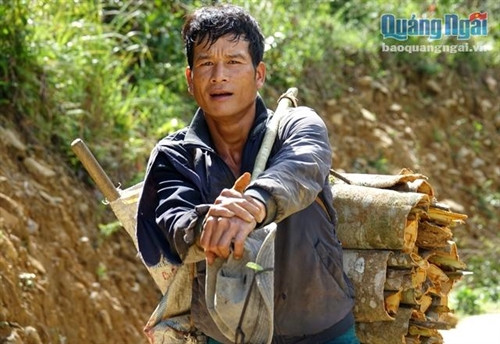 Cây quế là một trong những cây trồng chủ lực trong phát triển kinh tế ở vùng cao Tây Trà. Những năm gần đây, nhờ giá quế có giá cao và ổn định, nên người dân Tây Trà có được nguồn thu nhập khá trong mùa khai thác quế.