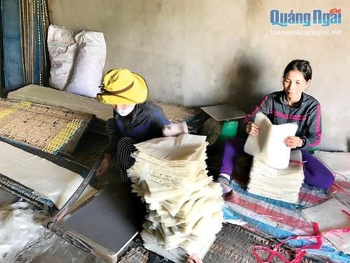 Rộn ràng làng nghề bánh tráng Hành Trung ảnh 4