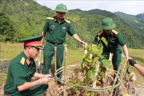 Cán bộ, chiến sỹ huyện đội Mù Cang Chải rào quanh cây mới trồng để bảo vệ cây. Ảnh: TTXVN phát Cán bộ, chiến sỹ huyện đội Mù Cang Chải rào quanh cây mới trồng để bảo vệ cây. Ảnh: TTXVN phát