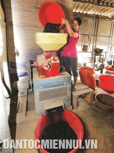 Được vay ưu đãi chương trình hộ sản xuất kinh doanh vùng khó khăn, gia đình chị Vũ Thị Gấm ở xã Chăn Nưa, huyện Sìn Hồ đầu tư mua máy xay xát, chăn nuôi lợn, làm nghề phụ cho thu nhập ổn định. Ảnh: Trần Việt Được vay ưu đãi chương trình hộ sản xuất kinh doanh vùng khó khăn, gia đình chị Vũ Thị Gấm ở xã Chăn Nưa, huyện Sìn Hồ đầu tư mua máy xay xát, chăn nuôi lợn, làm nghề phụ cho thu nhập ổn định. Ảnh: Trần Việt