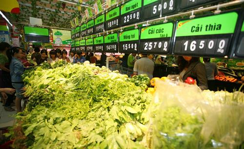 Hà Nội nâng cao chất lượng rau an toàn ảnh 8