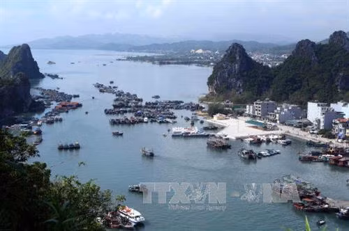 Đảo Cái Bầu (Vân Đồn) là đảo trung tâm, giàu nguồn tài nguyên cho phát triển du lịch sinh thái chất lượng cao nhờ có điều kiện tự nhiên thuận lợi, có nhiều đảo đất hoang sơ, bãi biển đẹp. Ảnh: Minh Quyết - TTXVN