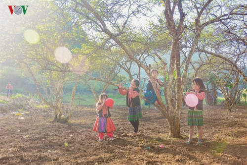 Niềm vui của những đứa trẻ miền sơn cước cũng rất giản dị, có khi chỉ là được cho vài viên kẹo, một trái bóng bay.