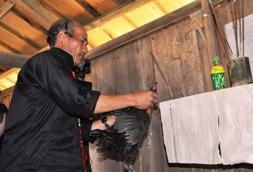 và bôi máu gà lên tờ giấy trắng trên bàn thờ.