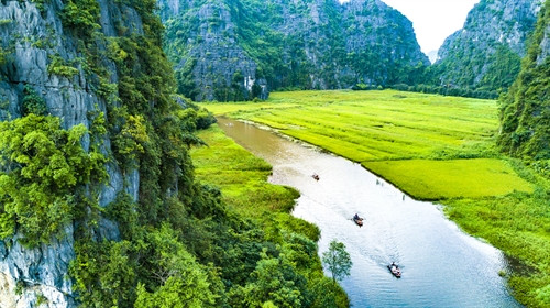 Du khách đi thuyền trên dòng Ngô Đồng tham quan cánh đồng lúa trải dài. Du khách đi thuyền trên dòng Ngô Đồng tham quan cánh đồng lúa trải dài.