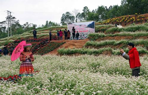 Tạo dáng bên tam giác mạch. Ảnh: Bích Huệ