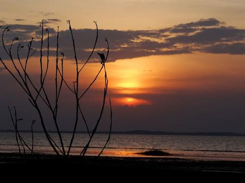 Vẻ quyến rũ của “vịnh không sóng” Hồ Dầu Tiếng ảnh 4