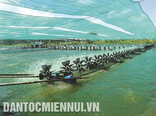 Cần lắp đặt hệ thống quạt nước đúng kỹ thuật. Ảnh: Kim Há Cần lắp đặt hệ thống quạt nước đúng kỹ thuật. Ảnh: Kim Há