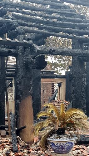 Đình Lưu – Di tích lịch sử quốc gia bị cháy rụi, trơ khung đen. Ảnh: Nguyễn Công Hải - TTXVN Đình Lưu – Di tích lịch sử quốc gia bị cháy rụi, trơ khung đen. Ảnh: Nguyễn Công Hải - TTXVN