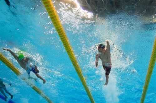 Vận động viên Võ Thanh Tùng (trái) hoàn thành bài thi bơi tự do 50m nam, hạng thương tật S5 tại Paralympic 2016 ở Rio de Janeiro, Brazil ngày 12/9. AFP/ TTXVN Vận động viên Võ Thanh Tùng (trái) hoàn thành bài thi bơi tự do 50m nam, hạng thương tật S5 tại Paralympic 2016 ở Rio de Janeiro, Brazil ngày 12/9. AFP/ TTXVN