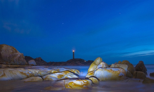 Tuyệt quá Kê Gà! ảnh 1 Tuyệt quá Kê Gà! ảnh 1