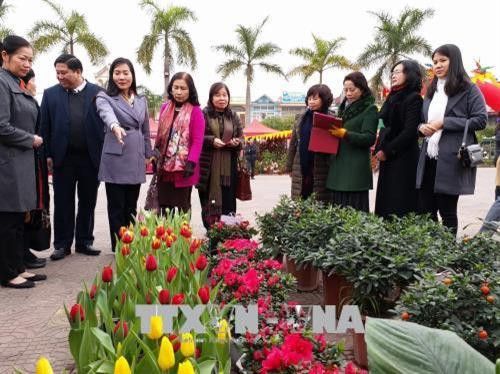 Các đại biểu tham quan các gian trưng bày hoa, cây cảnh tại Hội hoa Xuân Hoành Bồ. Ảnh: Trung Nguyên - TTXVN Các đại biểu tham quan các gian trưng bày hoa, cây cảnh tại Hội hoa Xuân Hoành Bồ. Ảnh: Trung Nguyên - TTXVN