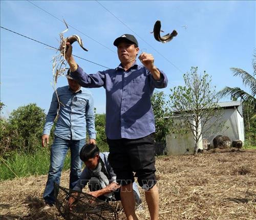 Du khách thích thú dùng lợp bắt cá tại Tiểu khu rừng tràm 34. Ảnh: Lê Sen - TTXVN