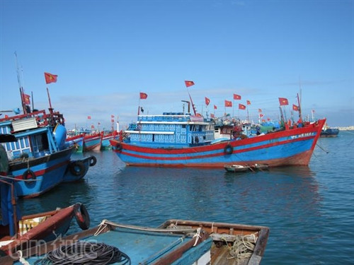 Vẻ đẹp đảo Lý Sơn ảnh 9