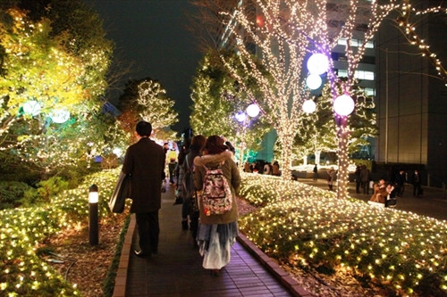 Kỳ ảo lễ hội ánh sáng Tokyo 2015 ảnh 5
